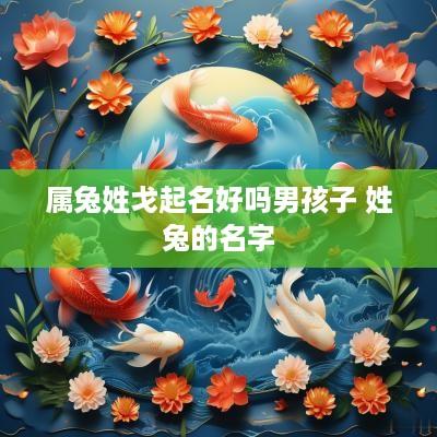 属兔姓戈起名好吗男孩子 姓兔的名字