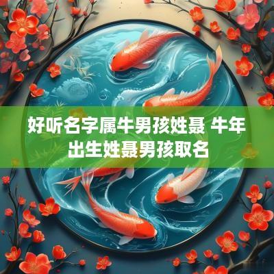 好听名字属牛男孩姓聂 蛇年出生姓聂男孩取名