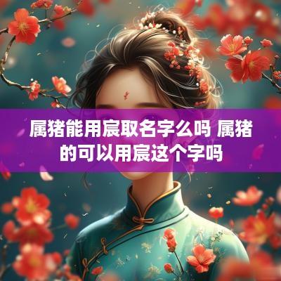 属猪能用宸取名字么吗 属猪的可以用宸这个字吗