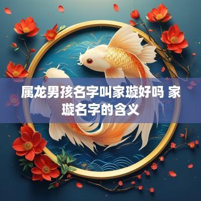 属龙男孩名字叫家璇好吗 家璇名字的含义