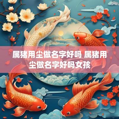 属猪用尘做名字好吗 属猪用尘做名字好吗女孩