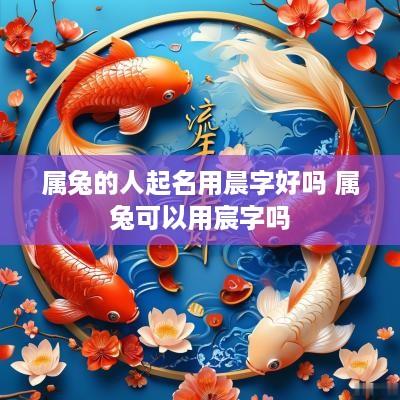 属兔的人起名用晨字好吗 属兔可以用宸字吗