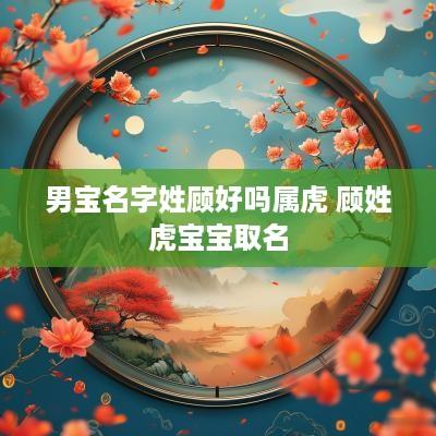 男宝名字姓顾好吗属虎 顾姓虎宝宝取名