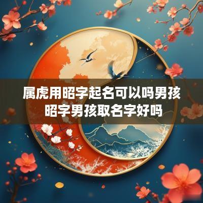 属虎用昭字起名可以吗男孩 昭字男孩取名字好吗