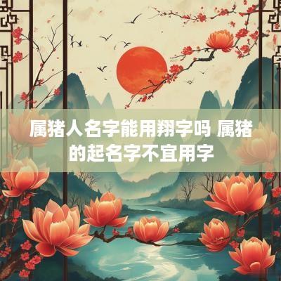 属猪人名字能用翔字吗 属猪的起名字不宜用字