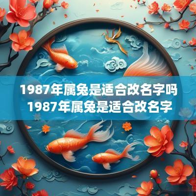 1987年属兔是适合改名字吗 1987年属兔是适合改名字吗女孩