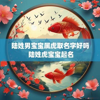 陆姓男宝宝属虎取名字好吗 陆姓虎宝宝起名