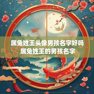 属兔姓王头像男孩名字好吗 属兔姓王的男孩名字