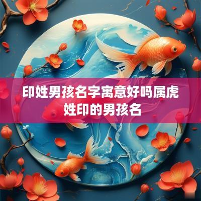 印姓男孩名字寓意好吗属虎 姓印的男孩名