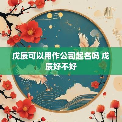 戊辰可以用作公司起名吗 戊辰好不好