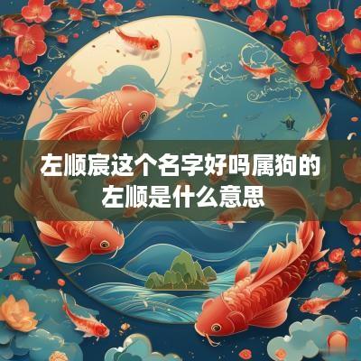 左顺宸这个名字好吗属狗的 左顺是什么意思