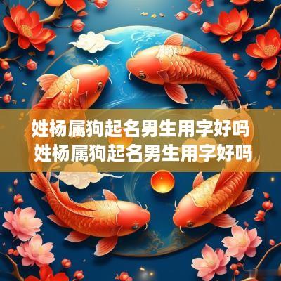 姓杨属狗起名男生用字好吗 姓杨属狗起名男生用字好吗