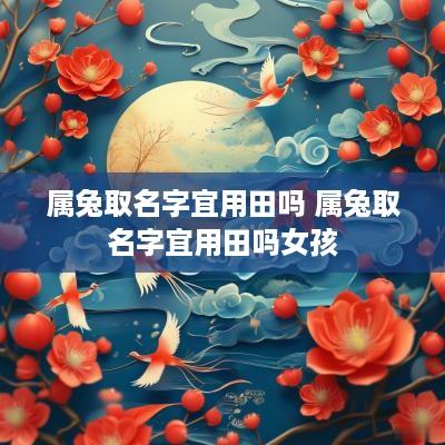 属兔取名字宜用田吗 属兔取名字宜用田吗女孩