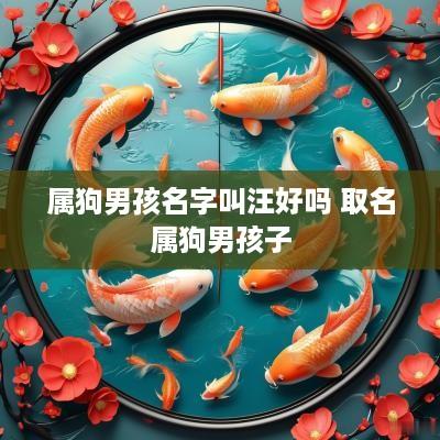 属狗男孩名字叫汪好吗 取名属狗男孩子