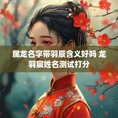 属龙名字带羽辰含义好吗 龙羽宸姓名测试打分
