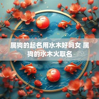 属狗的起名用水木好吗女 属狗的水木火取名
