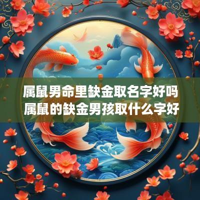 属鼠男命里缺金取名字好吗 属鼠的缺金男孩取什么字好