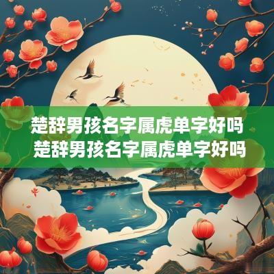 楚辞男孩名字属虎单字好吗 楚辞男孩名字属虎单字好吗还是双字