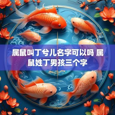 属鼠叫丁兮儿名字可以吗 属鼠姓丁男孩三个字