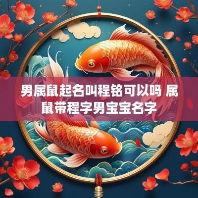 男属鼠起名叫程铭可以吗 属鼠带程字男宝宝名字