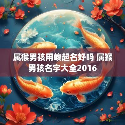 属猴男孩用峻起名好吗 属猴男孩名字大全2016