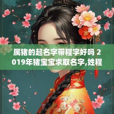 属猪的起名字带程字好吗 2019年猪宝宝求取名字,姓程