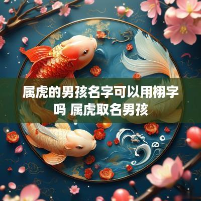 属虎的男孩名字可以用栩字吗 属虎取名男孩