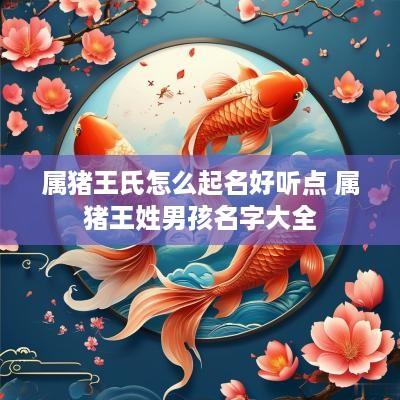 属猪王氏怎么起名好听点 属猪王姓男孩名字大全