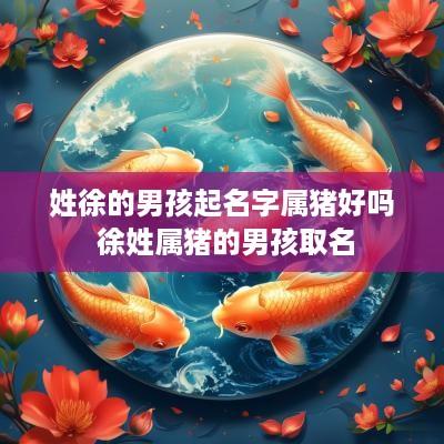 姓徐的男孩起名字属猪好吗 徐姓属猪的男孩取名