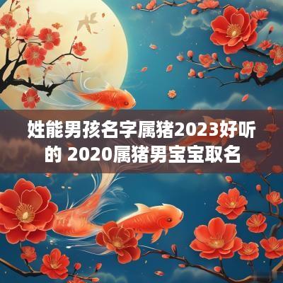 姓能男孩名字属猪2025好听的 2025属猪男宝宝取名