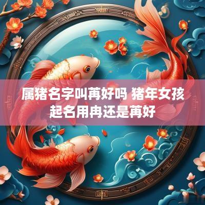 属猪名字叫苒好吗 猪年女孩起名用冉还是苒好