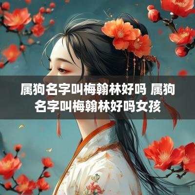 属狗名字叫梅翰林好吗 属狗名字叫梅翰林好吗女孩