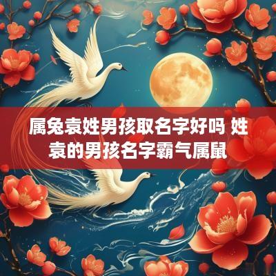 属兔袁姓男孩取名字好吗 姓袁的男孩名字霸气属鼠