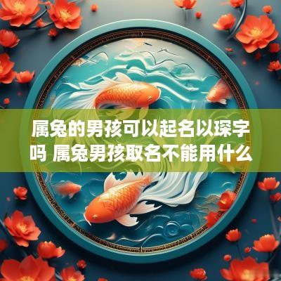 属兔的男孩可以起名以琛字吗 属兔男孩取名不能用什么字