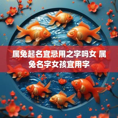 属兔起名宜忌用之字吗女 属兔名字女孩宜用字