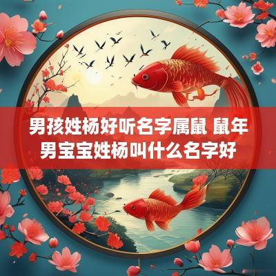 男孩姓杨好听名字属鼠 蛇年男宝宝姓杨叫什么名字好