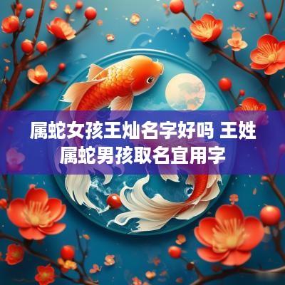 属蛇女孩王灿名字好吗 王姓属蛇男孩取名宜用字