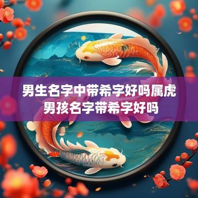 男生名字中带希字好吗属虎 男孩名字带希字好吗