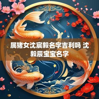属猪女沈宸毅名字吉利吗 沈毅辰宝宝名字