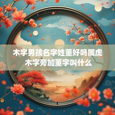 木字男孩名字姓董好吗属虎 木字旁加董字叫什么