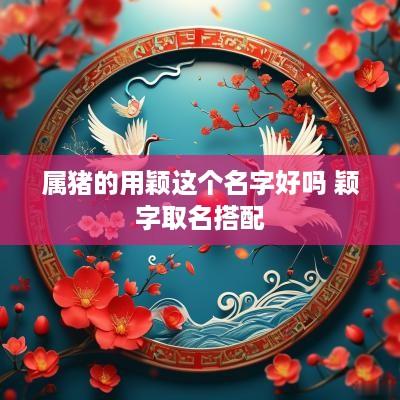 属猪的用颖这个名字好吗 颖字取名搭配