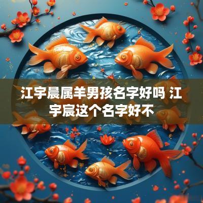 江宇晨属羊男孩名字好吗 江宇宸这个名字好不