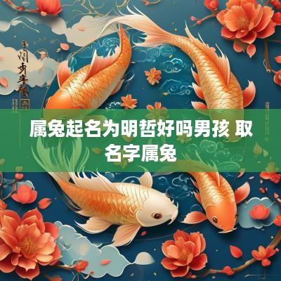 属兔起名为明哲好吗男孩 取名字属兔