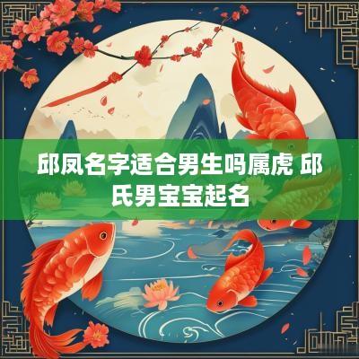 邱凤名字适合男生吗属虎 邱氏男宝宝起名
