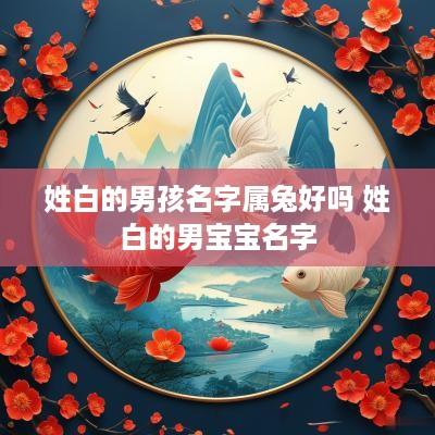 姓白的男孩名字属兔好吗 姓白的男宝宝名字