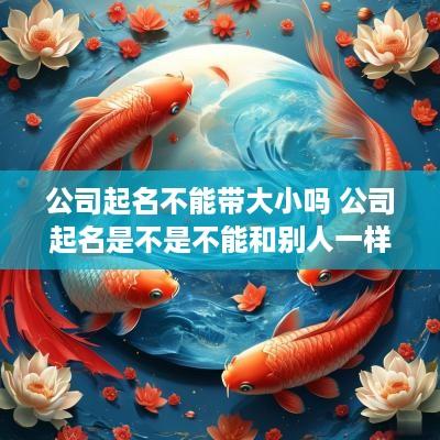 公司起名不能带大小吗 公司起名是不是不能和别人一样