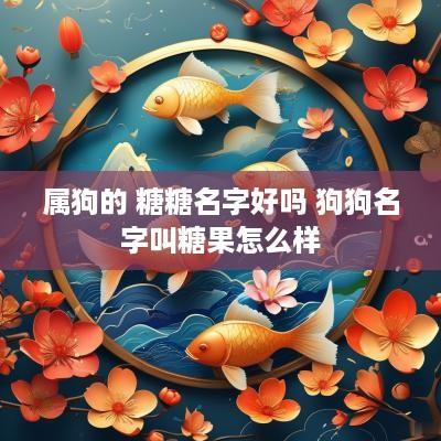 属狗的 糖糖名字好吗 狗狗名字叫糖果怎么样