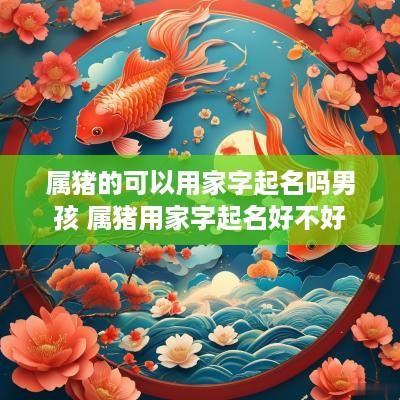 属猪的可以用家字起名吗男孩 属猪用家字起名好不好