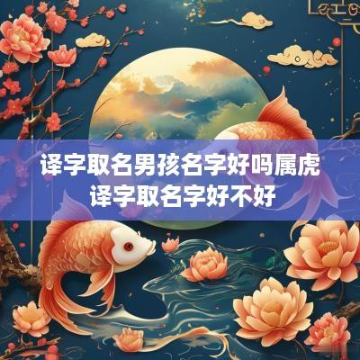 译字取名男孩名字好吗属虎 译字取名字好不好