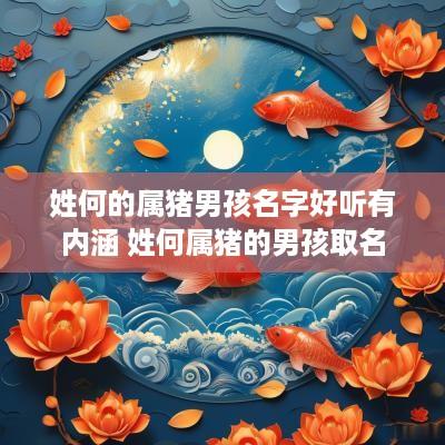 姓何的属猪男孩名字好听有内涵 姓何属猪的男孩取名
